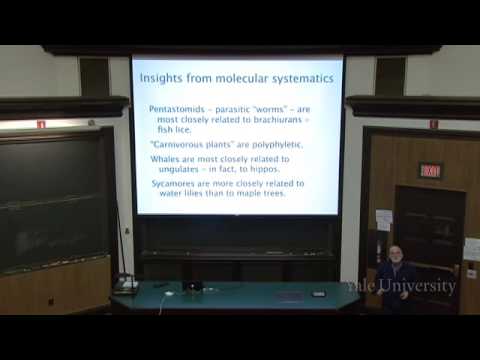 15. Phylogeny and Systematics