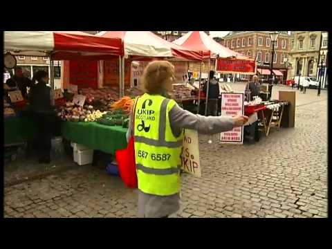 Europe to Newark: Ukip's election campaign