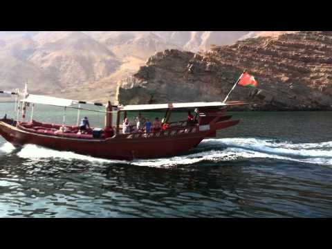 Dolphins in Khasab, Musandam, Oman Tour