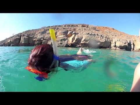 Musandam Dhow Cruise