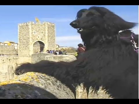 Spanish Town of Besalu, (Spain) - Travel Guide