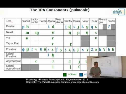 Phonology - Phonetic Transcription II