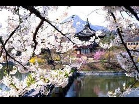 Korea Travel Guide