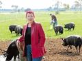 Saskia Beer’s Barossa Farm Produce shamed over pig meat labelling
