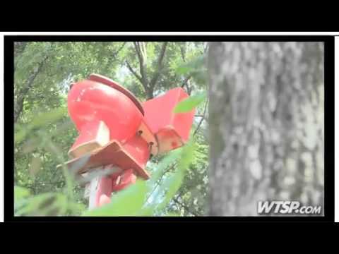 Arkansas Subdivision Features Toilets on Treetops