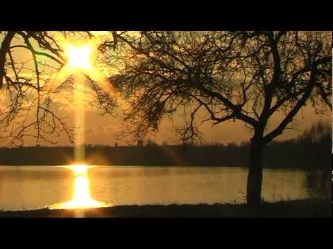 Super chill movie : Sonnenaufgang am Niederrhein ! Backlight orgy ! Sunrise at river Rhine!