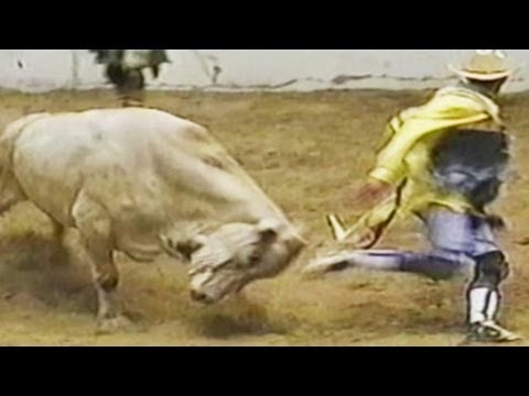 Bull fighting FUNNY VIDEOS