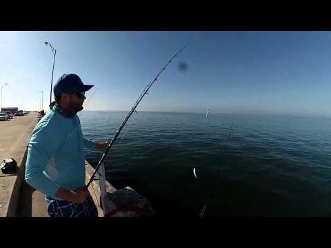 How to Setup a Trolley Rig for Pier Fishing - CATCH MORE!