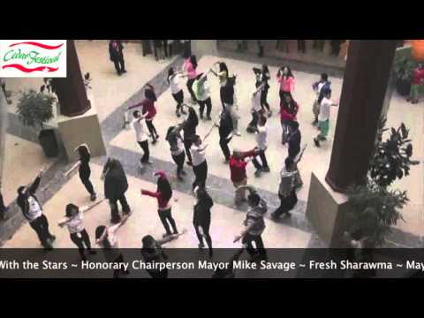 Cedar Festival Flash Mob 2013 (Official HD Video)