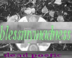 Blessmymadness - dead_poetic