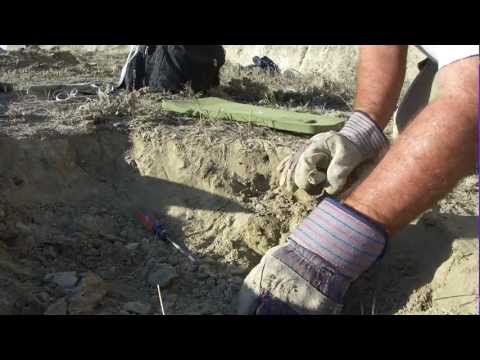 Shark Tooth Hill Fossil Hunting Bakersfield CA Ernst Quarries