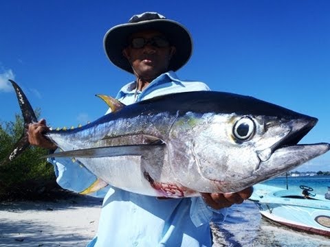 Best Sports Fishing - Addu Atoll Maldives