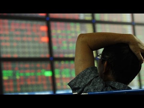 Vietnam's Economy Exposed (Portfolio)