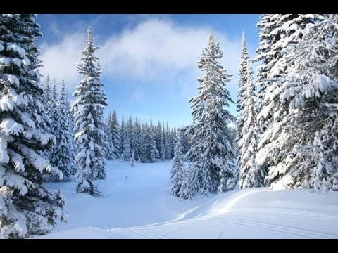 PJTV - Winter Is Coming for Global Warming: Is Climate Change the Hoax of the Century?