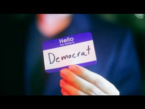 What's The Point of the Democratic Party?