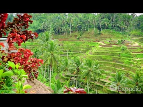 Bali Vacation Travel Guide | Expedia