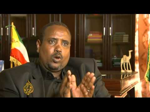 New fighting force in Ethiopia's Ogaden