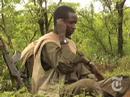 New York Times Video Report on ONLF - Ogaden Somali Fighters