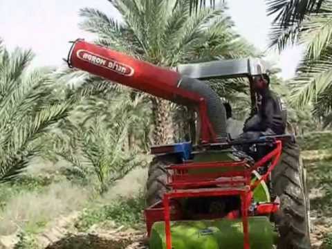 Date Palm Pollination Machine March 2013