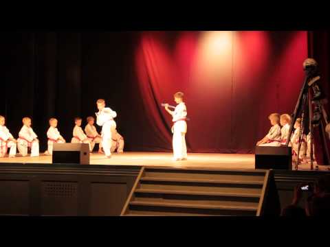 Josui Karate performance at the Lielvarde community Sports event. Latvia, 24 May 2013