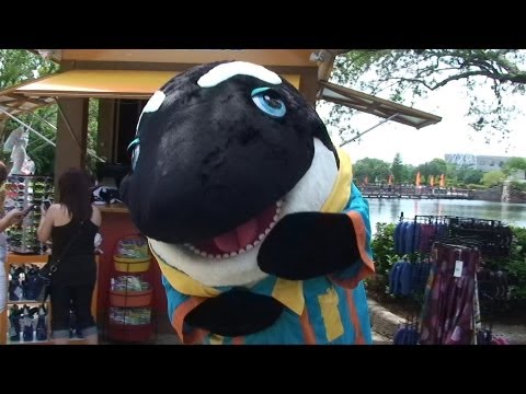 SeaWorld Orlando Viva la Música 2013 with Shamu, Sesame Street's Rosita, Daddy Yankee, Latin Food