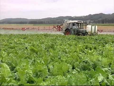 Swiss Farmers - keeping the land alive