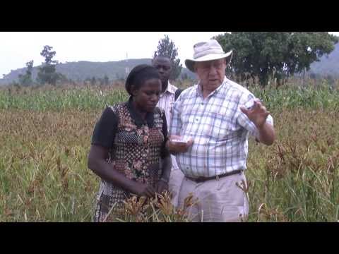 Optimizing Fertilizer Use for Food Security and Economic Growth in Uganda