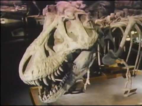 The Real Jurassic Park (Documentary) 1993