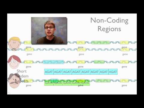 DNA Fingerprinting