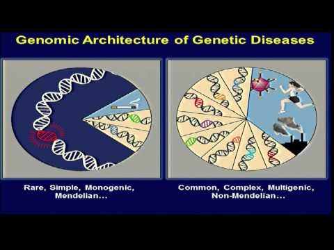 The Genomic Landscape circa 2012 - Eric Green