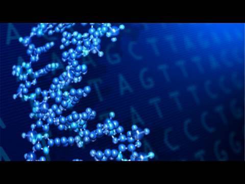 What is a Genome?