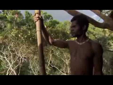 The Korowai Tribe (amazing tree-house builders from BBC's Human Planet).mp4