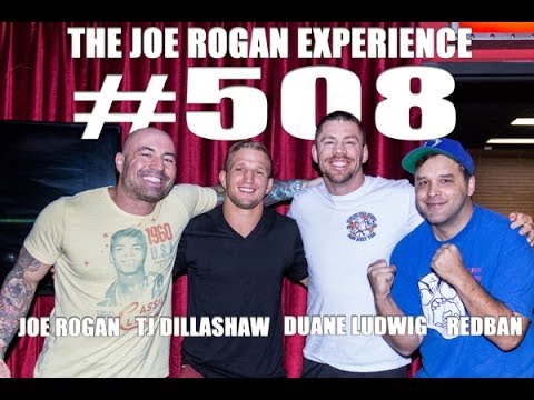 Joe Rogan Experience #508 - TJ Dillashaw & Duane Ludwig