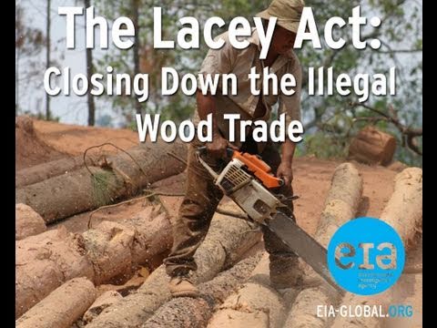 The Lacey Act: Closing Down the Illegal Wood Trade.