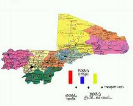 NGO Santé Diabète Mali (Health diabetes Mali)