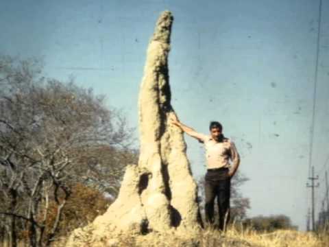 Landscape and Travel in the Bush of Zambia