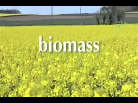 All About Biomass Fuels