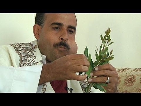 The Curse of Khat