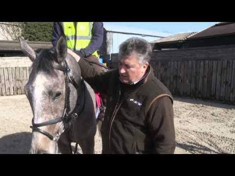 Paul Nicholls - Tuesday's Cheltenham Festival Runners