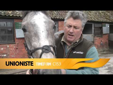 Paul Nicholls' Aintree Runners - Thursday