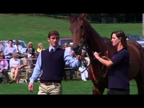 Paul Nicholls - Horses in Training 2013/14 - Part1