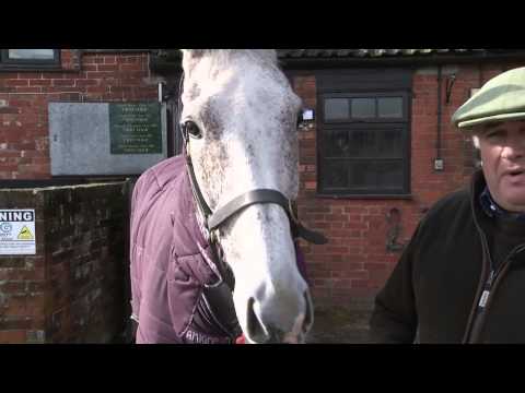 Paul Nicholls - Wednesday's Cheltenham Festival Runners