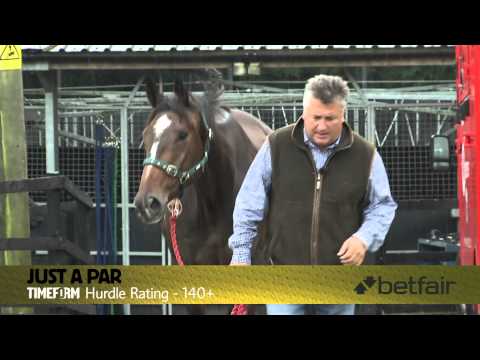 Paul Nicholls Chasers to Follow - 2013/14