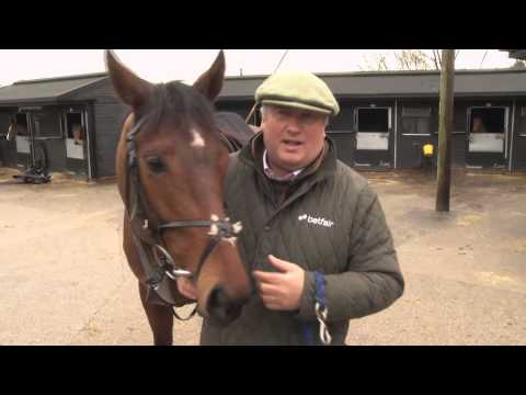 Paul Nicholls' Weekend Runners - Cheltenham & Doncaster