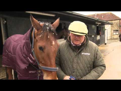 Paul Nicholls' Newbury Runners on Betfair Super Saturday