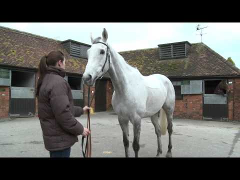 Paul Nicholls looks ahead to the weekend