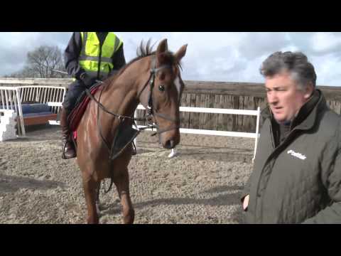 Paul Nicholls - Friday's Cheltenham Festival Runners