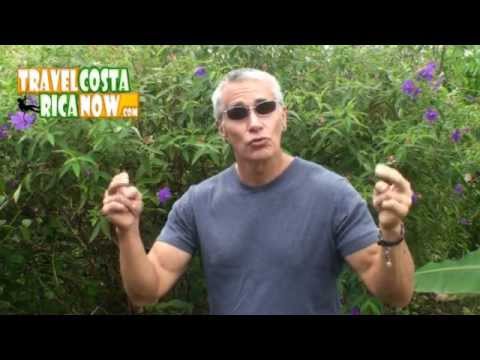 Costa Rica Perpetual Tourist UPDATE 2013 New Immigration Laws