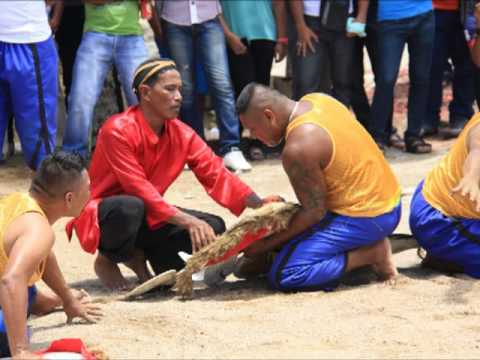 Javanese in Suriname  2013