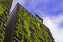 Greening our urban high rise (Thumbnail)